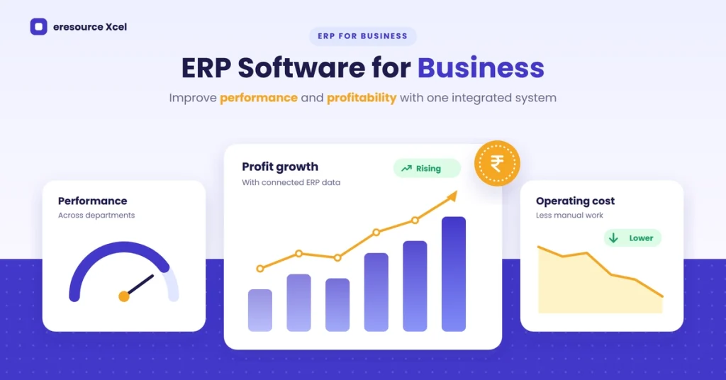 ERP Software for Business: Improve Performance and Profitability