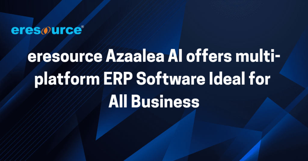 ERP Software Ideal for All Business